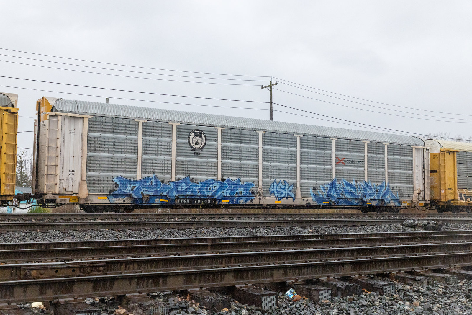 TTGX 707685