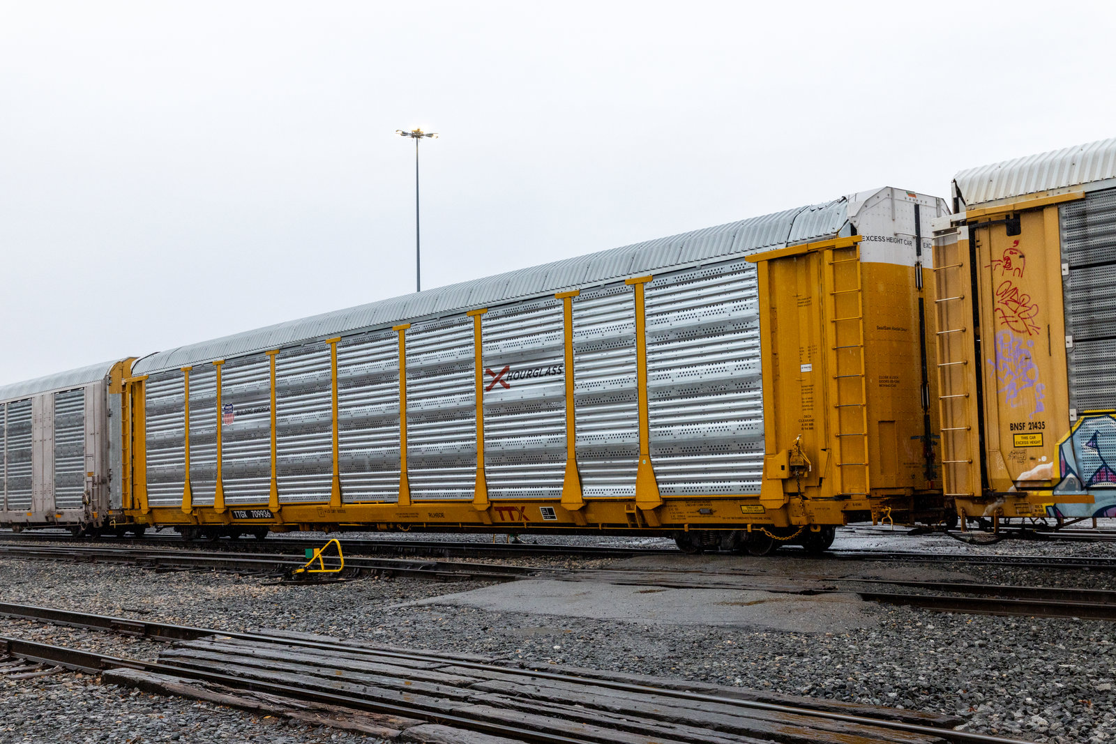 TTGX 709936