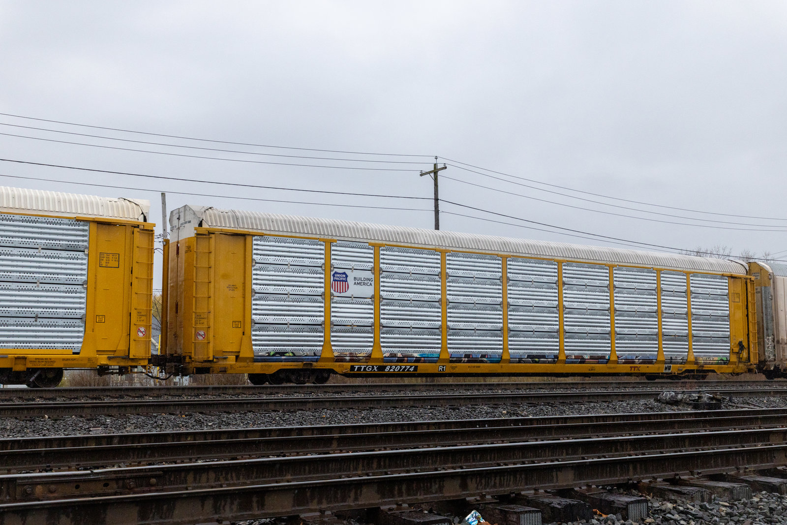 TTGX 820774