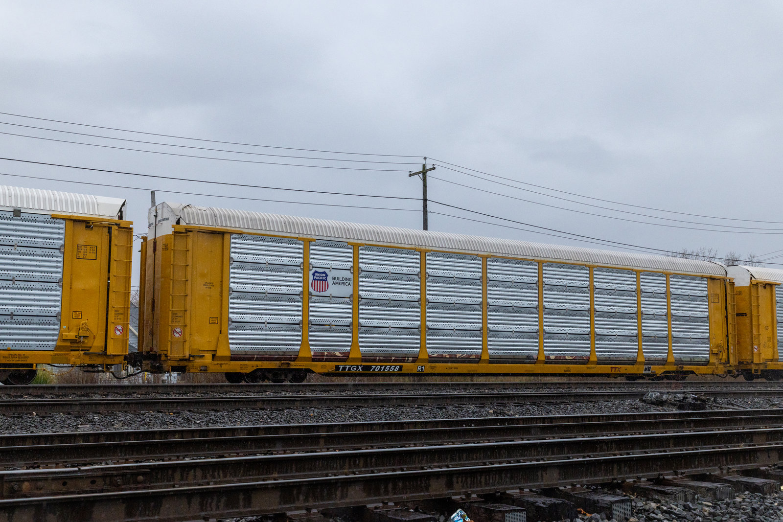 TTGX 701558