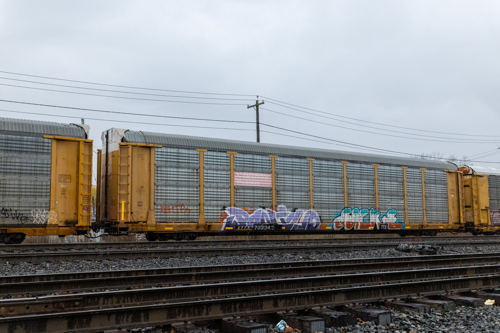 ETTX 703342