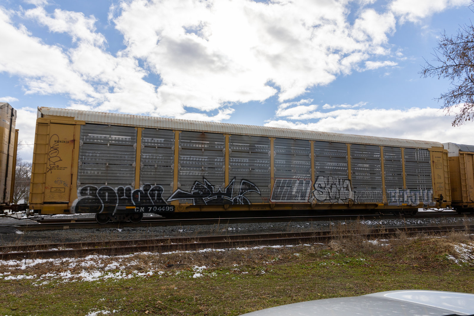 CN 704495
