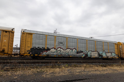 NKCR 7574