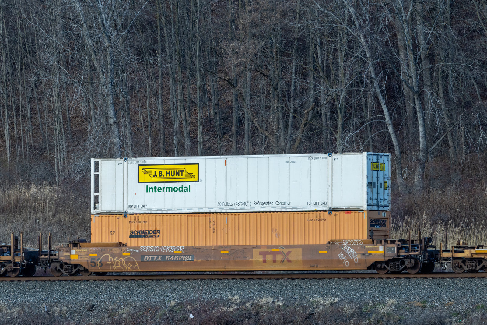 DTTX 646269