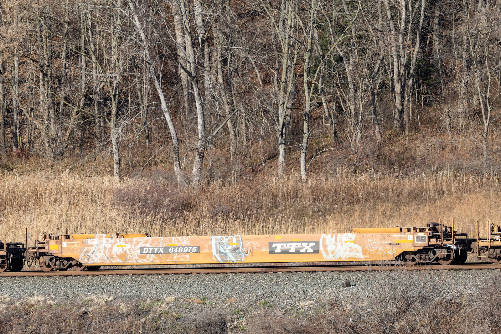 DTTX 646975