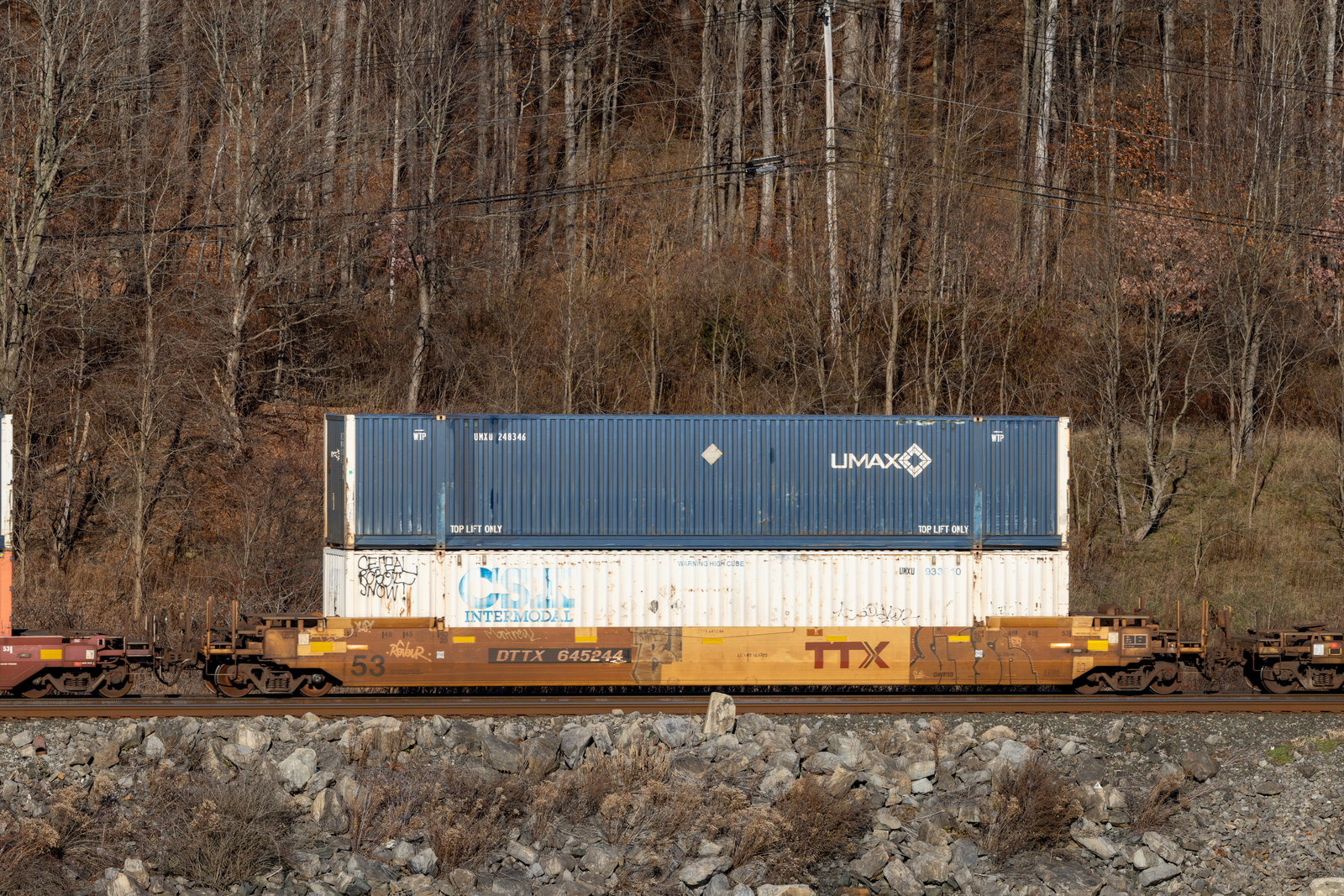 DTTX 645244
