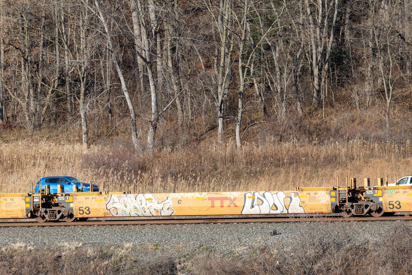 DTTX 767508C