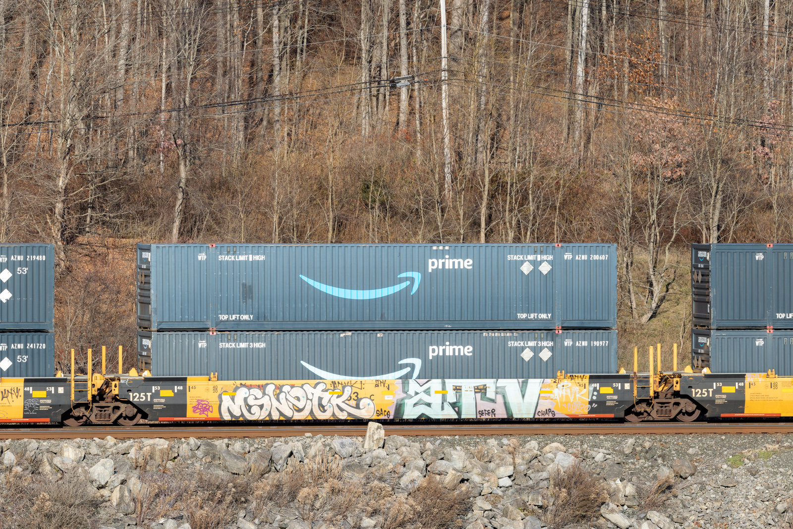 DTTX 795423C