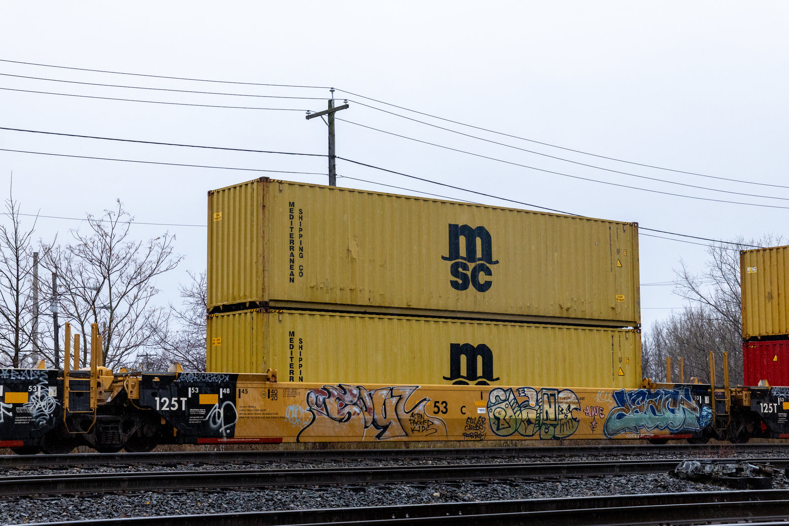DTTX 795331C
