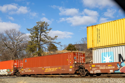 BNSF 239054D
