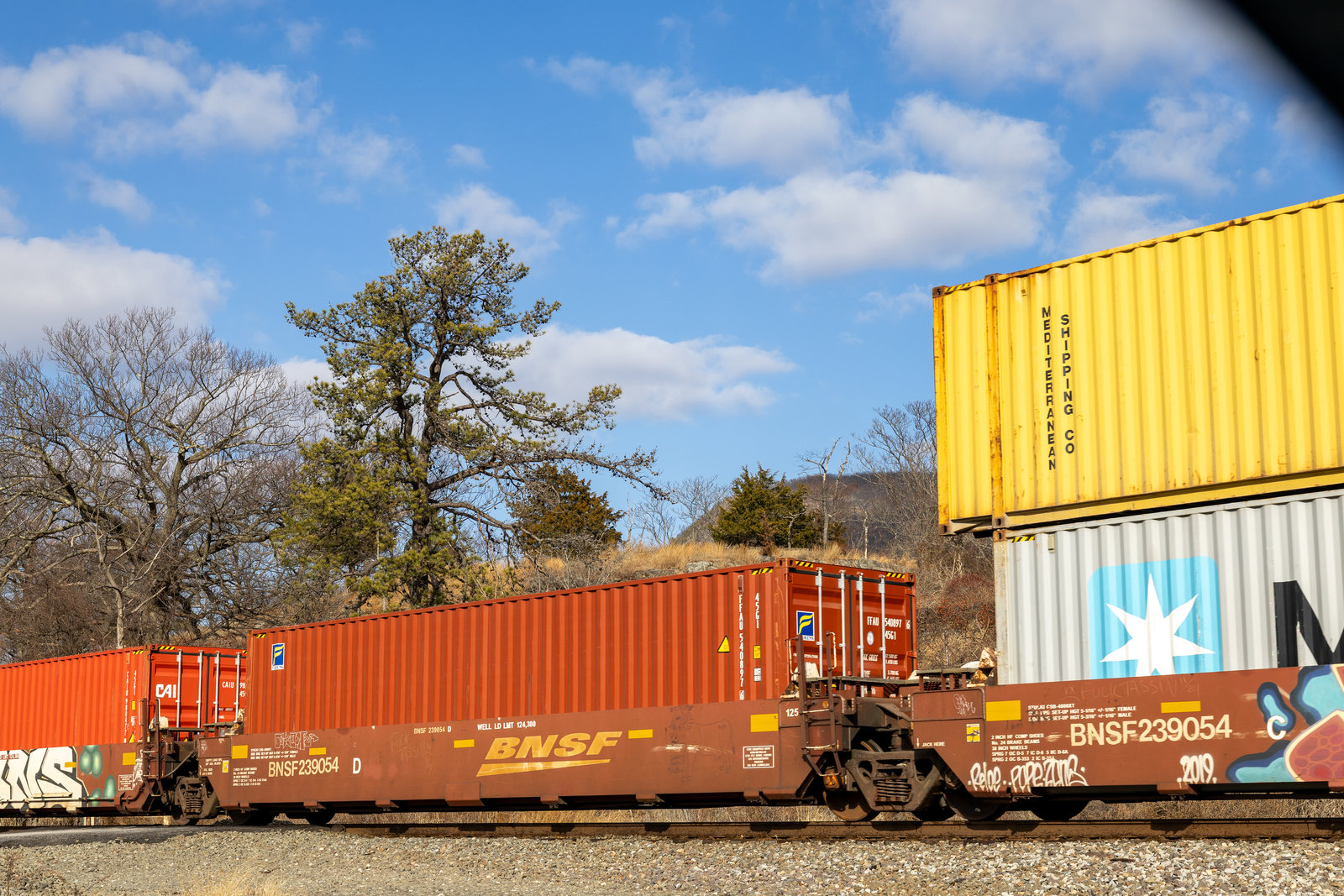 BNSF 239054D
