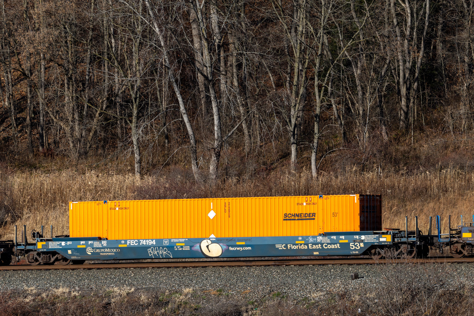 FEC 74194