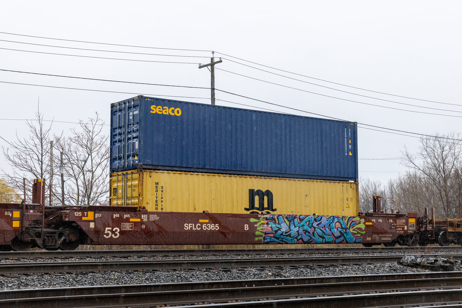 SFLC 6365B