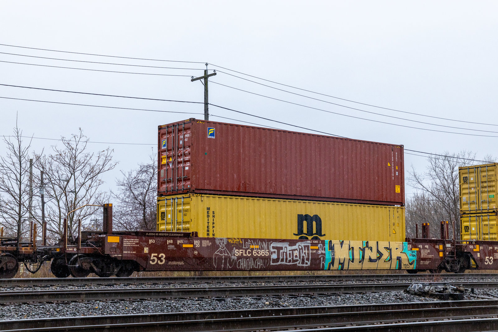 SFLC 6365A