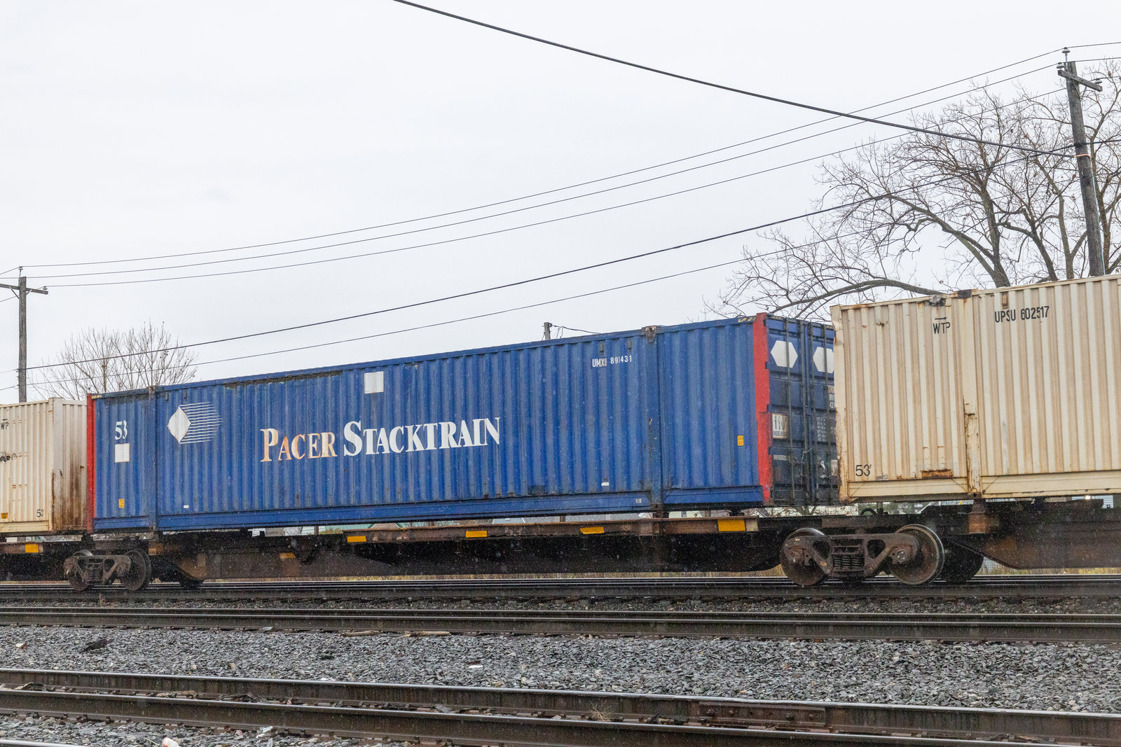 TTAX 554619C
