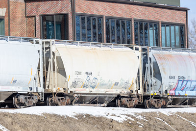 TCMX 95166