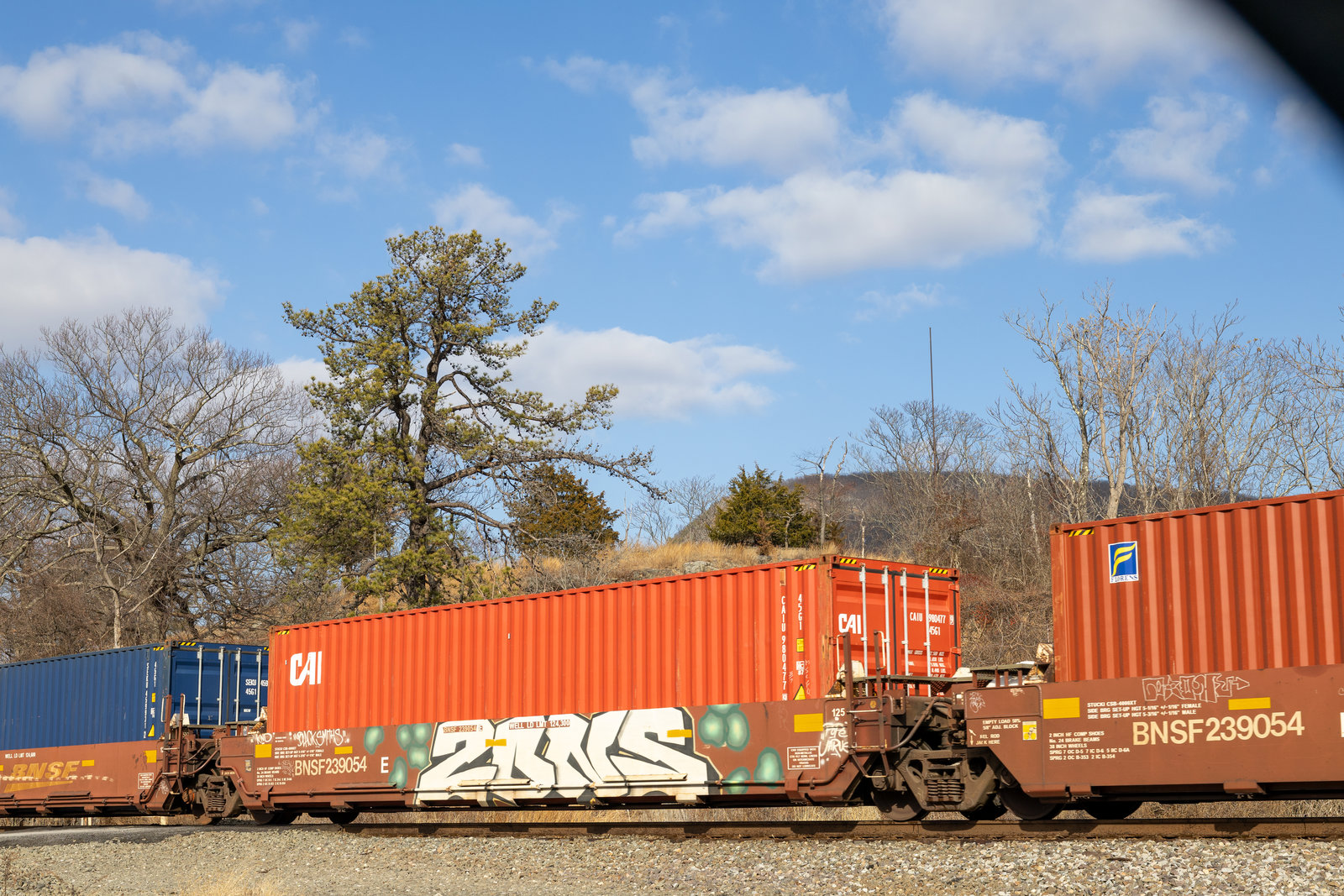 BNSF 239054E
