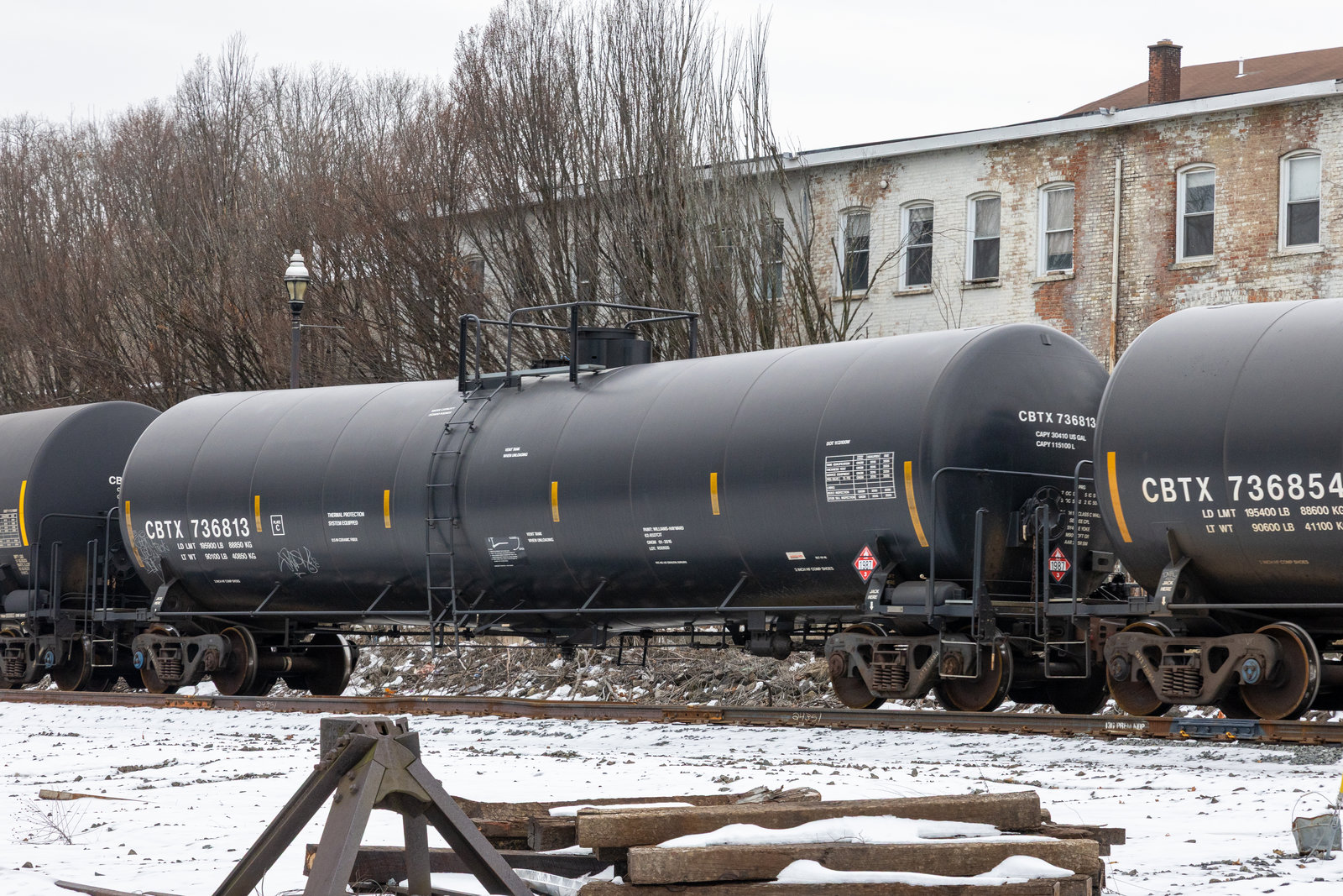 CBTX 736813