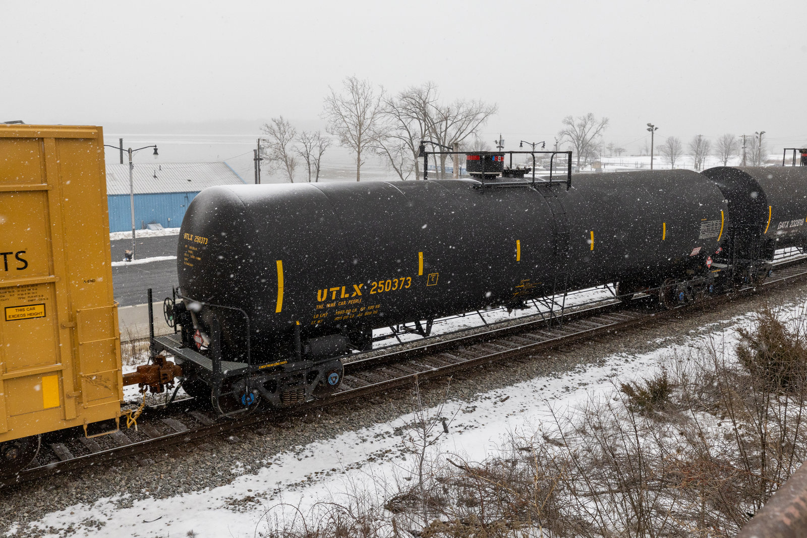 UTLX 250373