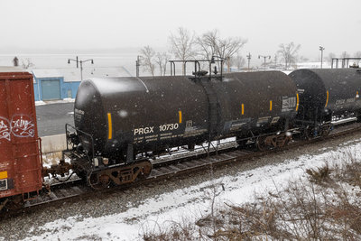 PRGX 10730