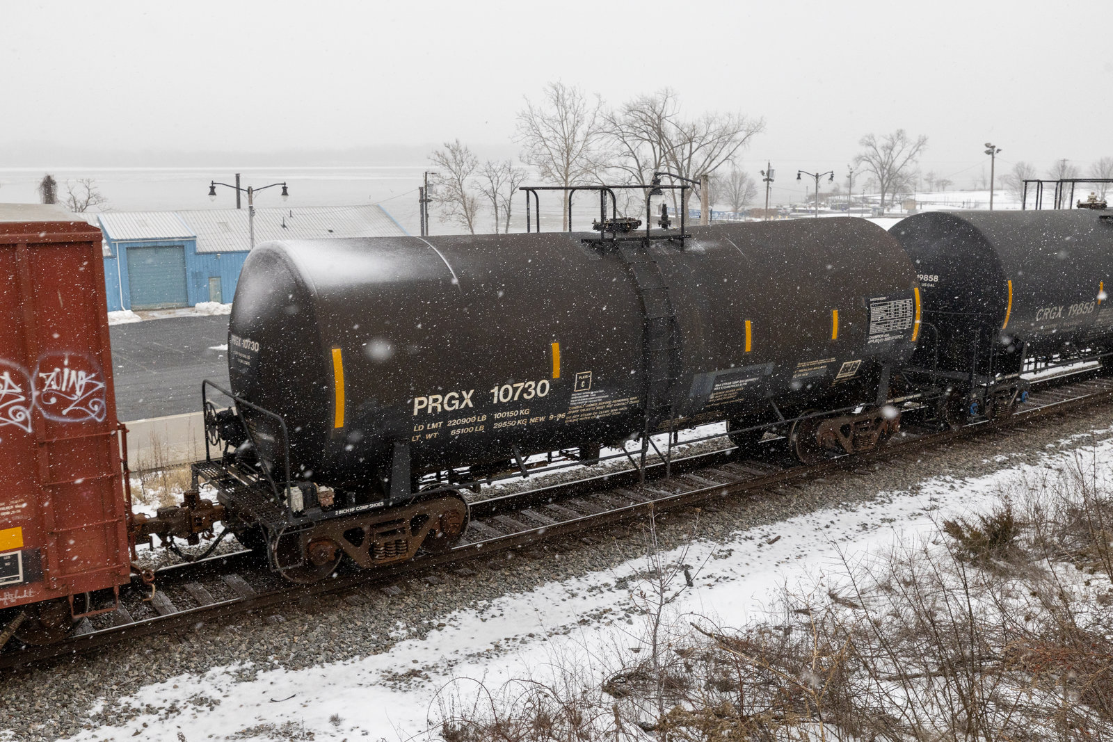 PRGX 10730