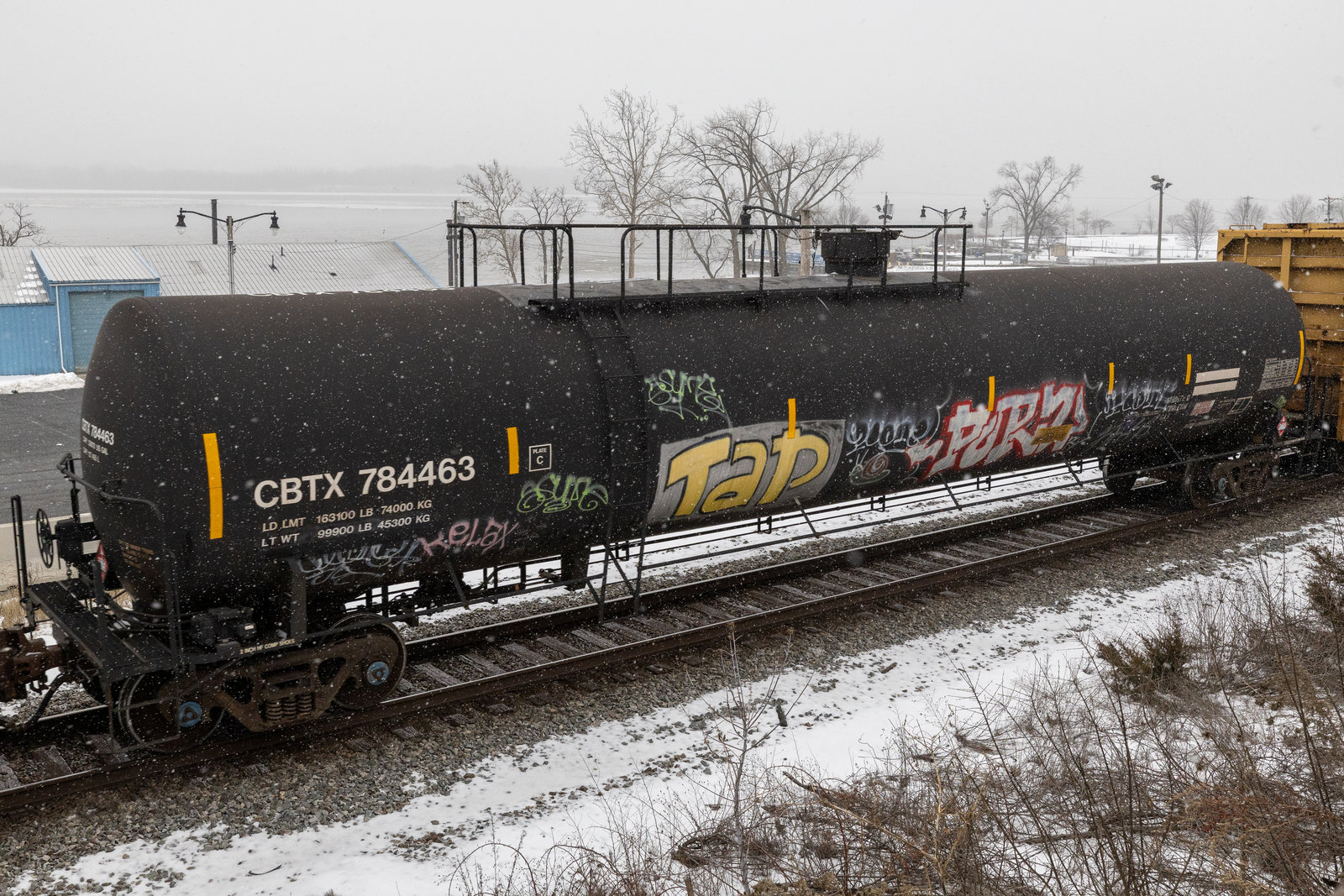 CBTX 784463