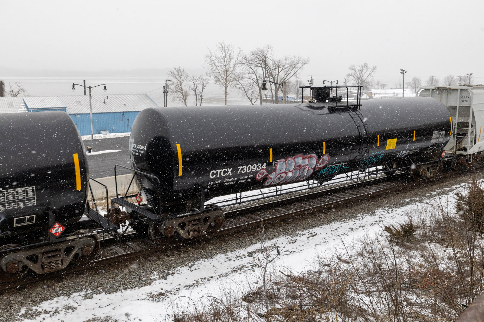 CTCX 730934