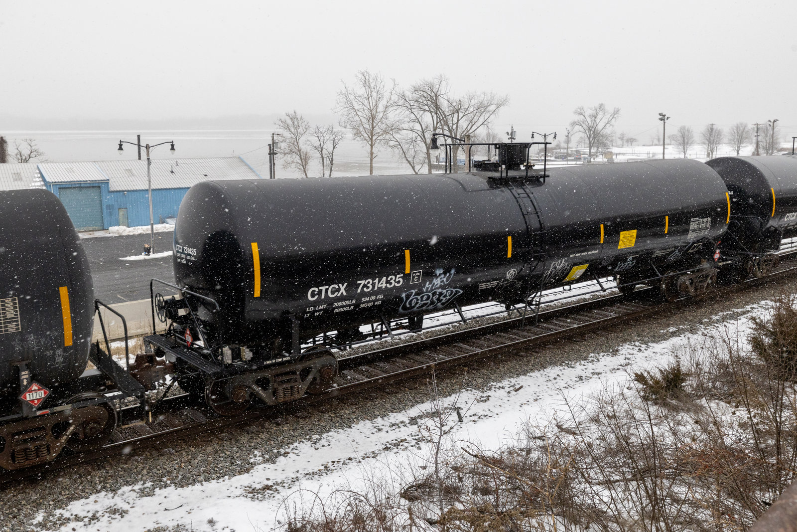 CTCX 731435