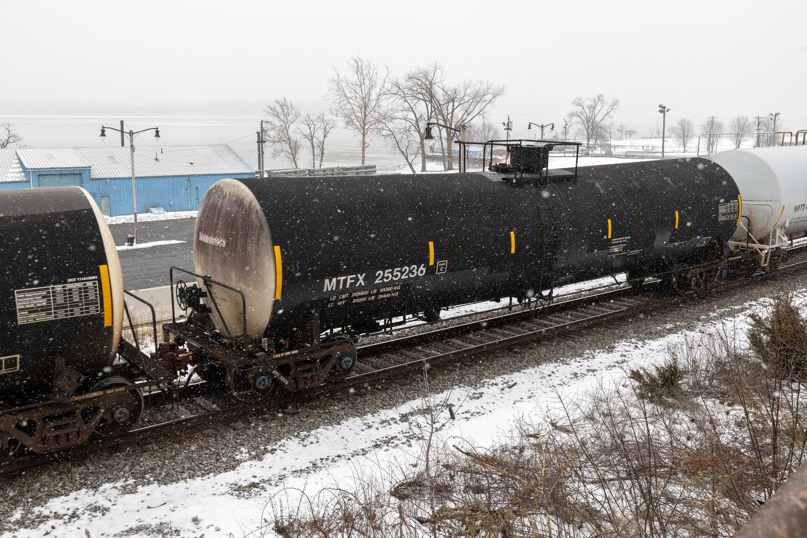 MTFX 255236