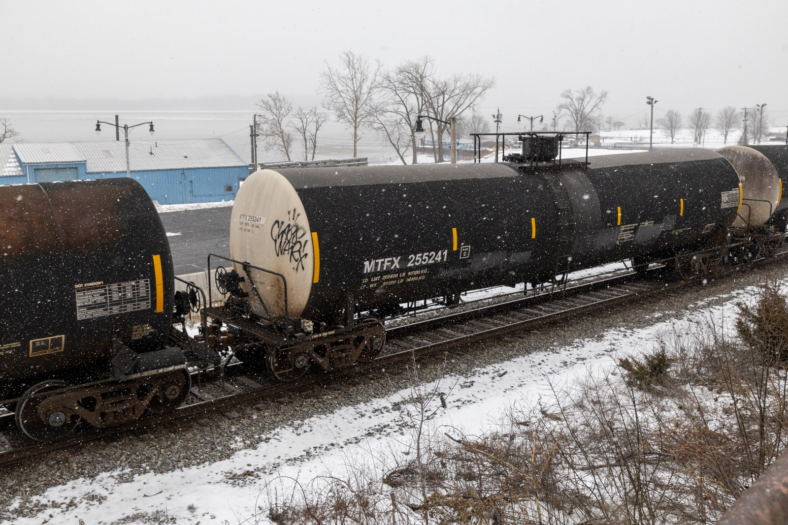 MTFX 255241