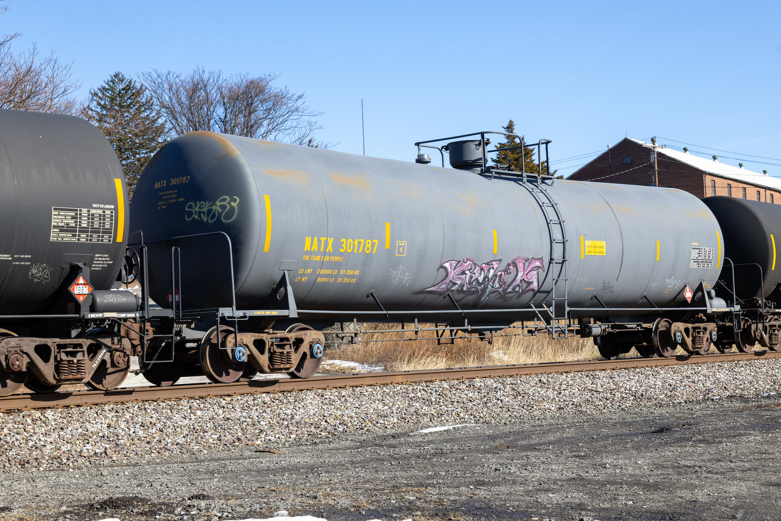 NATX 301787