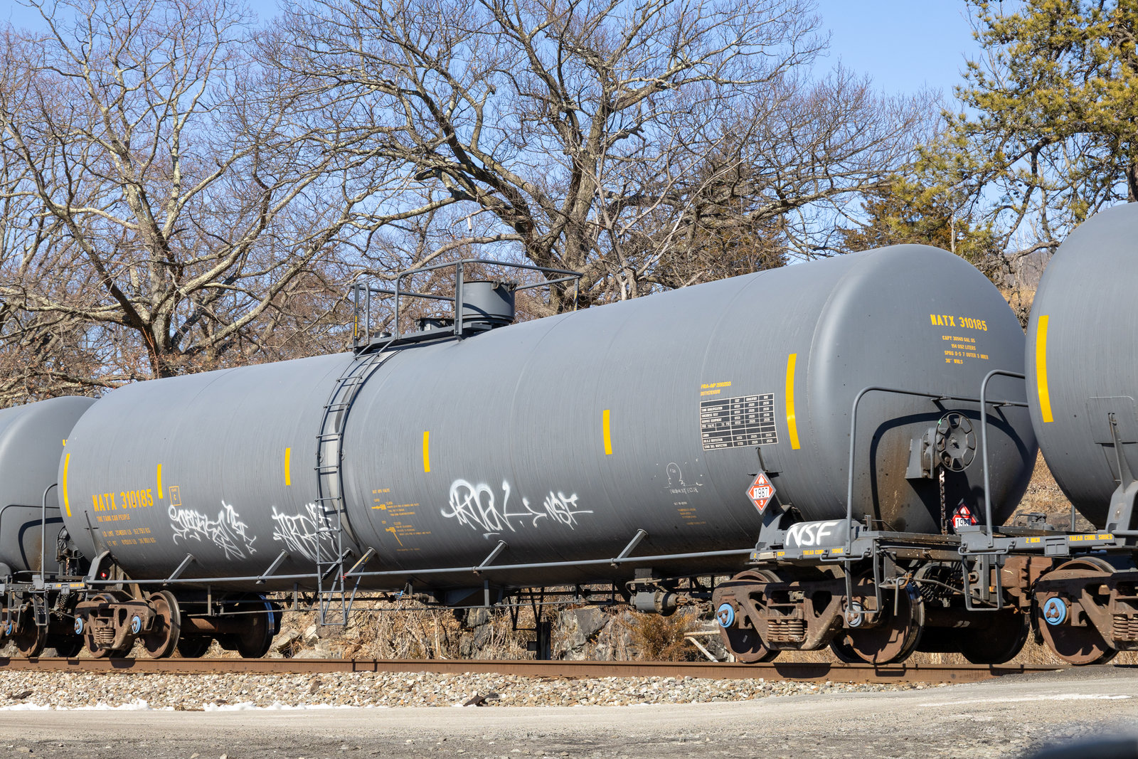 NATX 310185