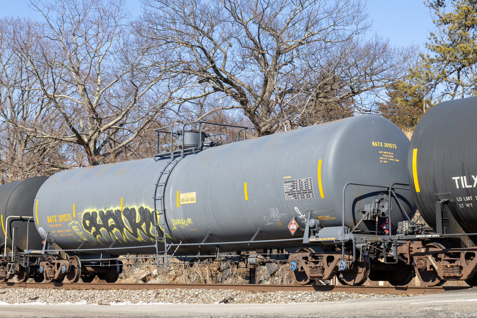 NATX 301575
