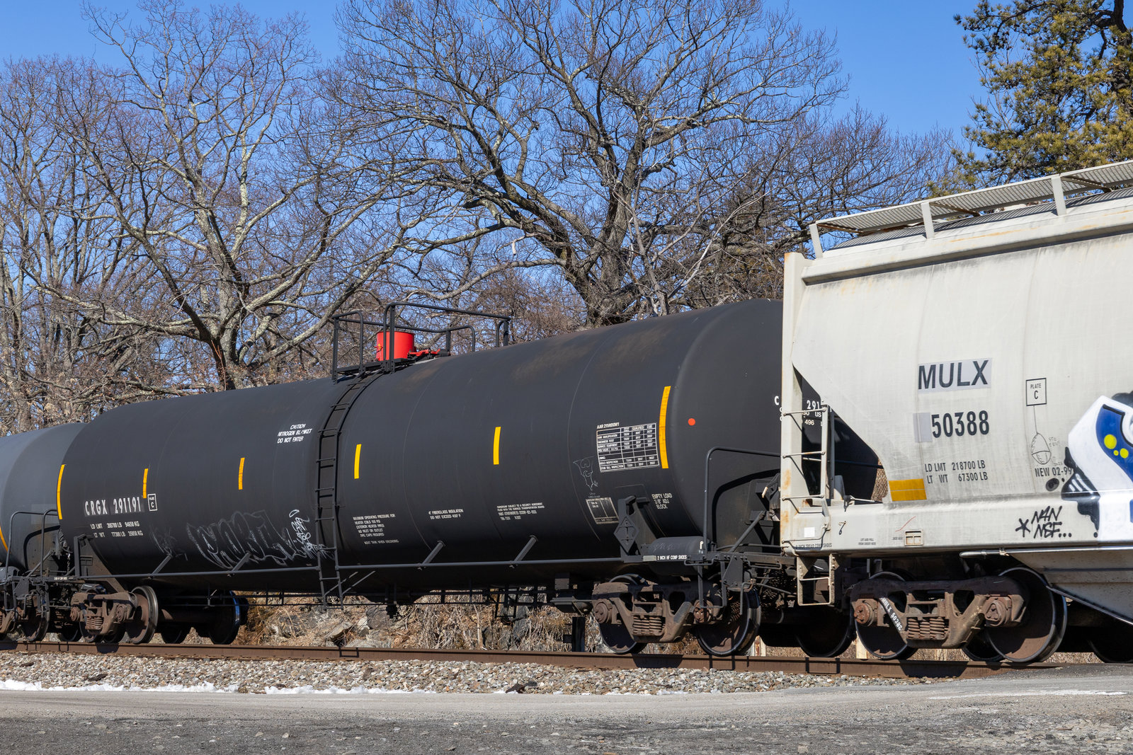 CRGX 291191