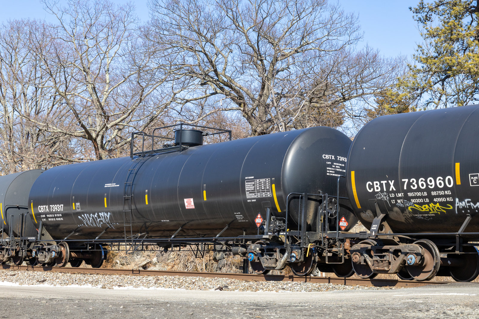 CBTX 739317