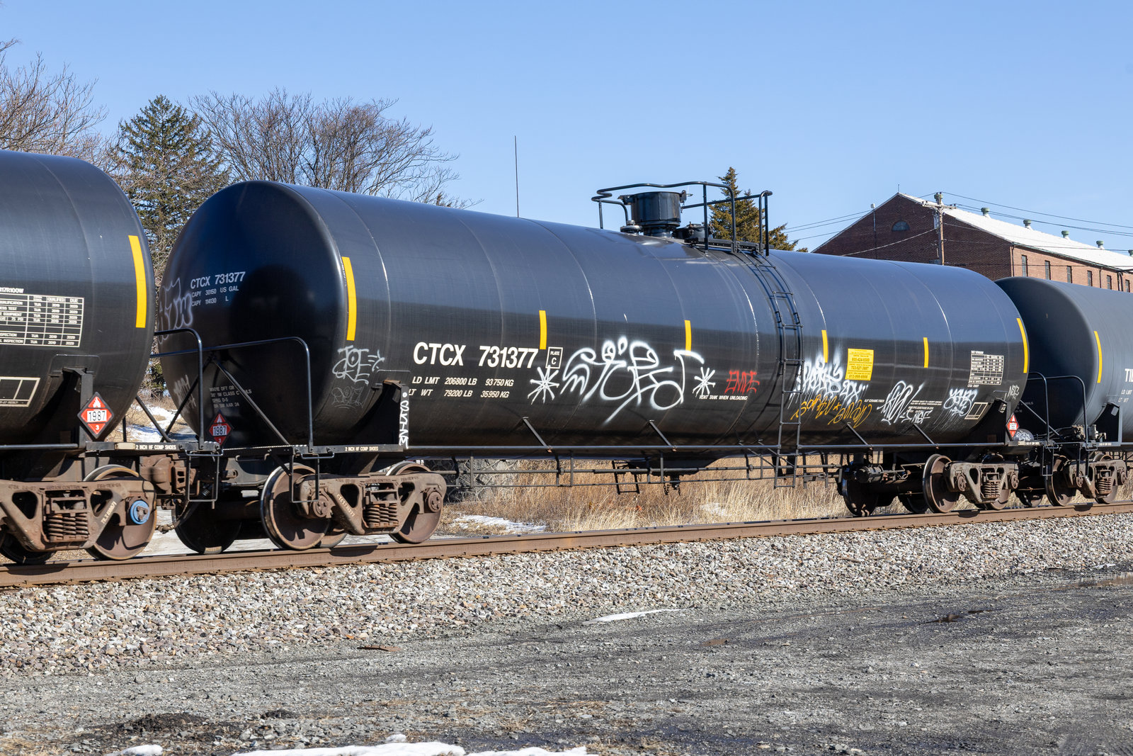 CTCX 731377