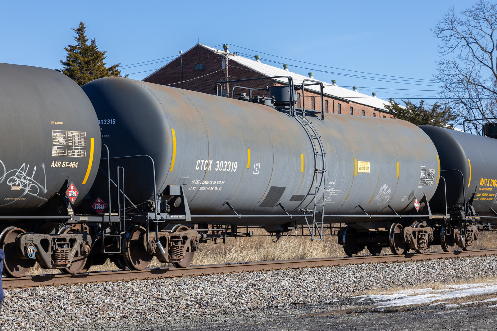 CTCX 303319