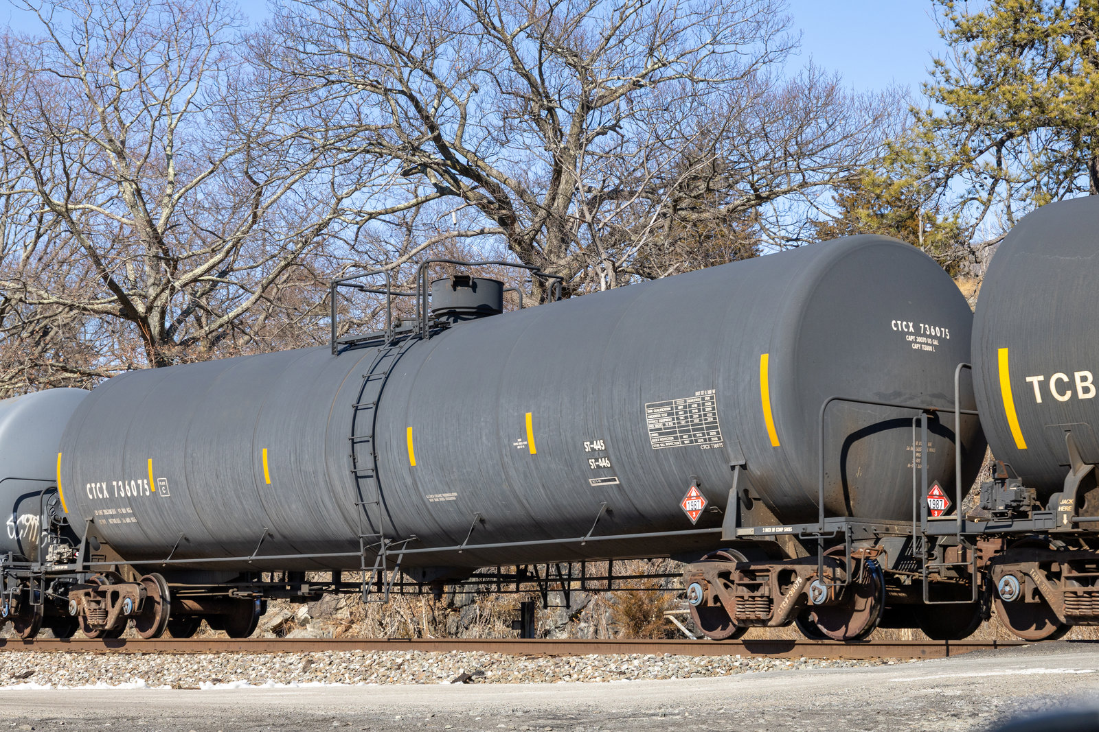 CTCX 736075