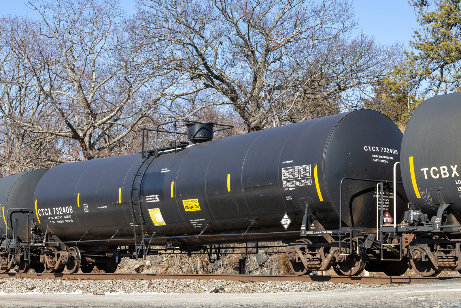 CTCX 732406