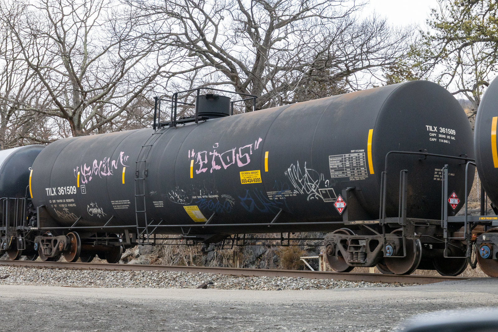 TILX 361509