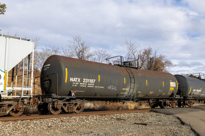 NATX 231187