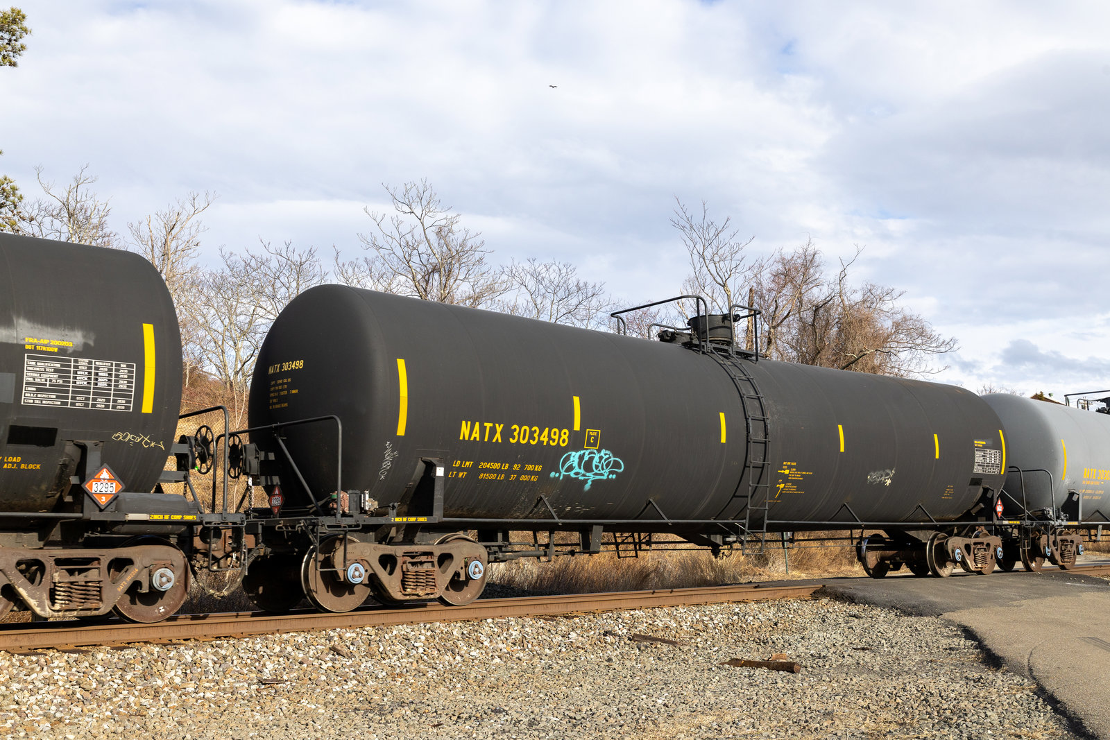 NATX 303498