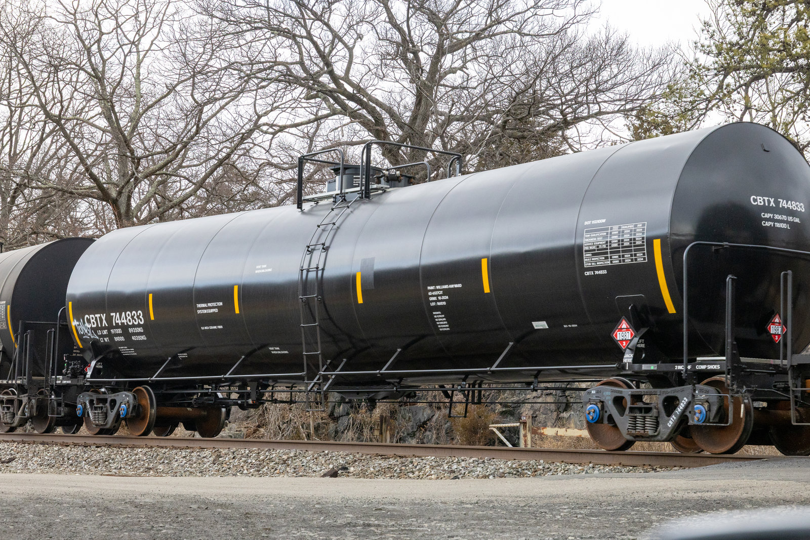 CBTX 744833