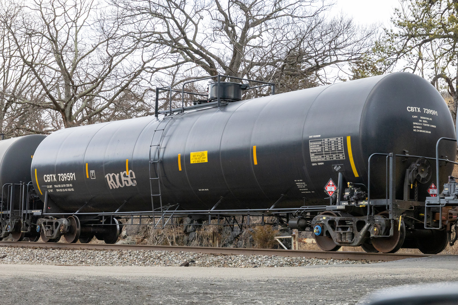 CBTX 739591