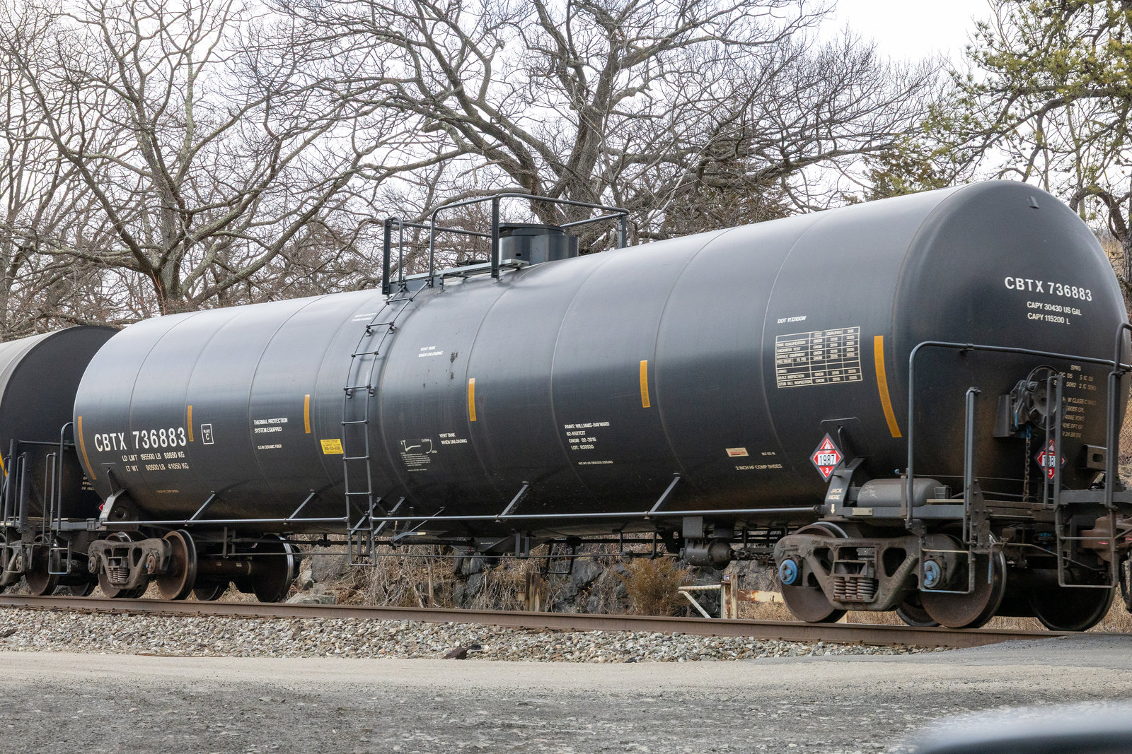 CBTX 736883