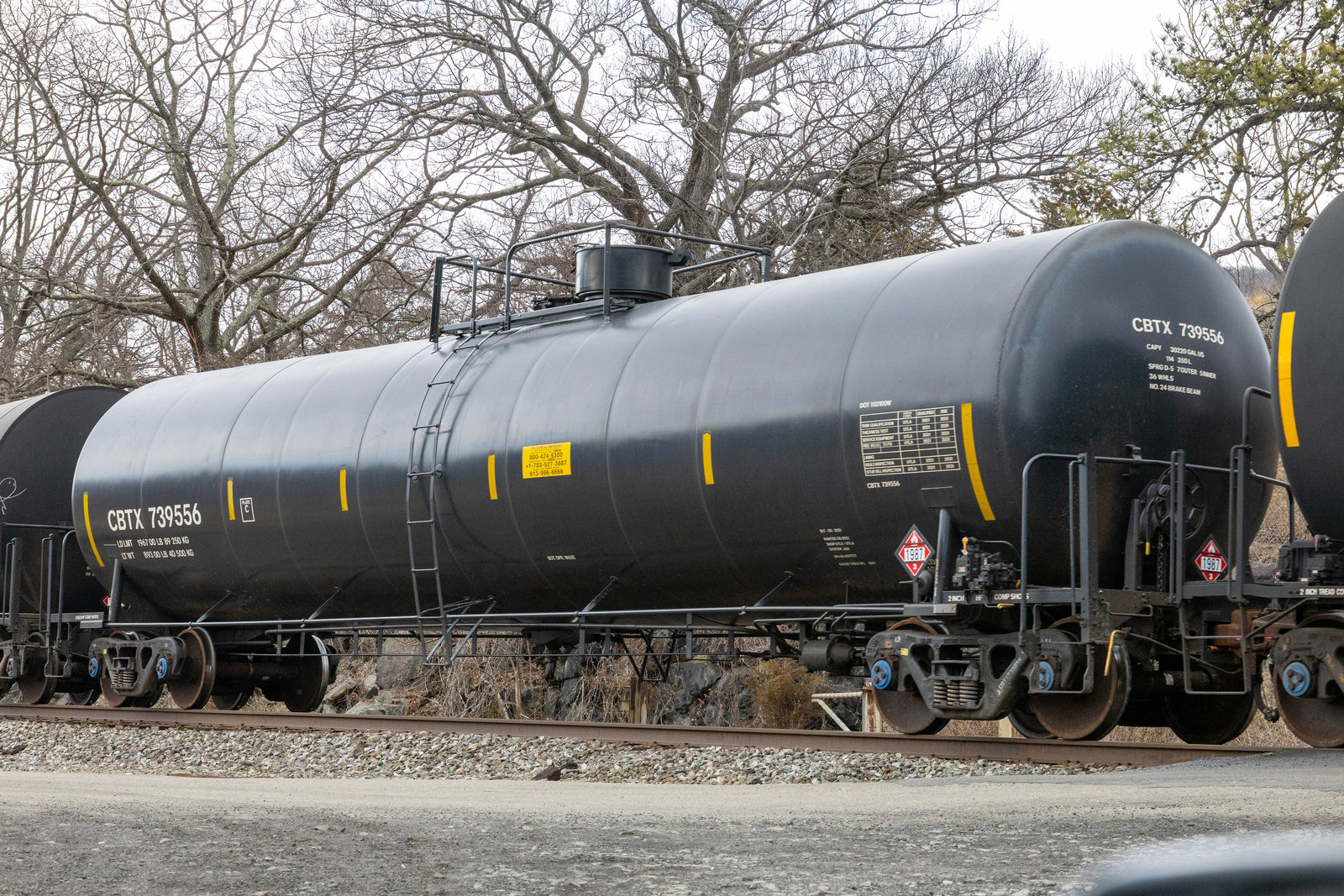 CBTX 739556