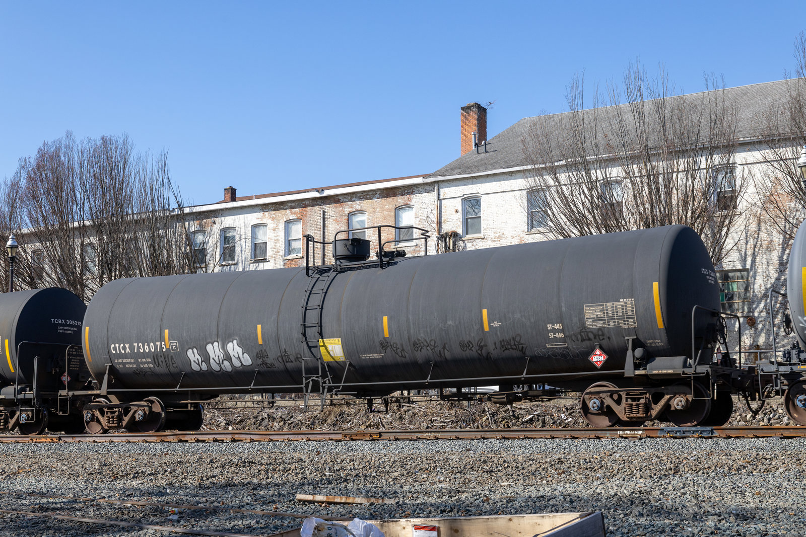 CTCX 736075