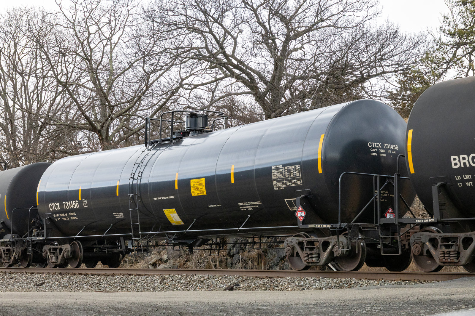 CTCX 731456