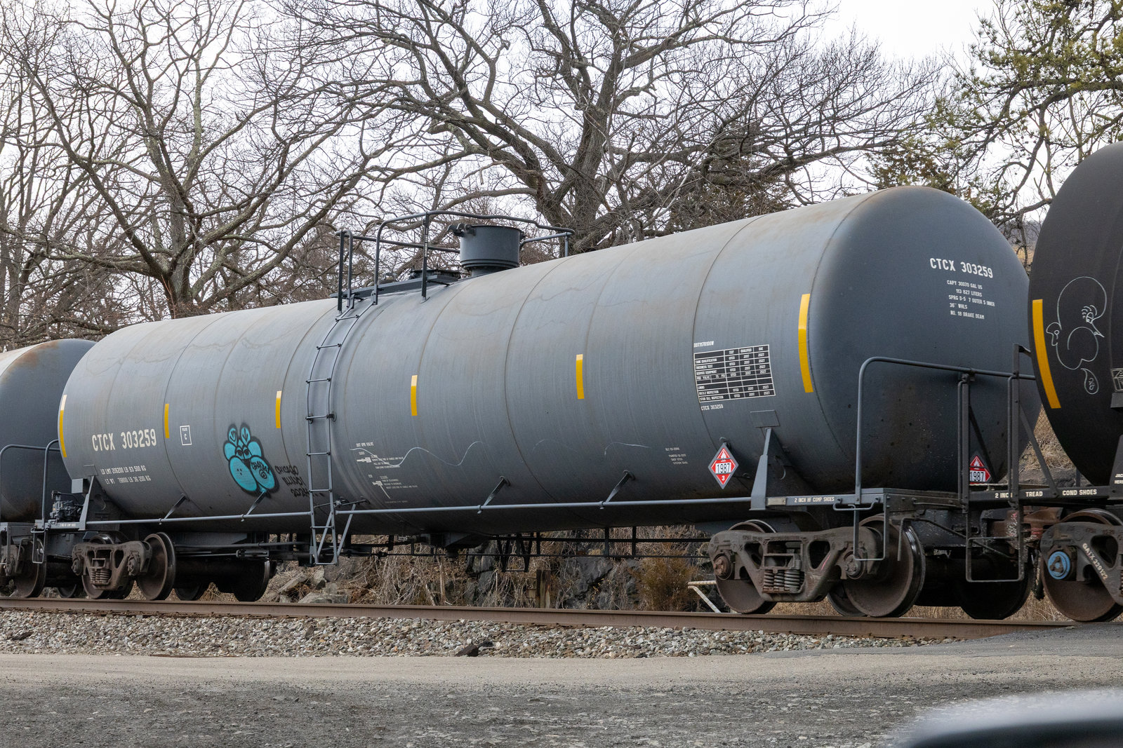 CTCX 303259