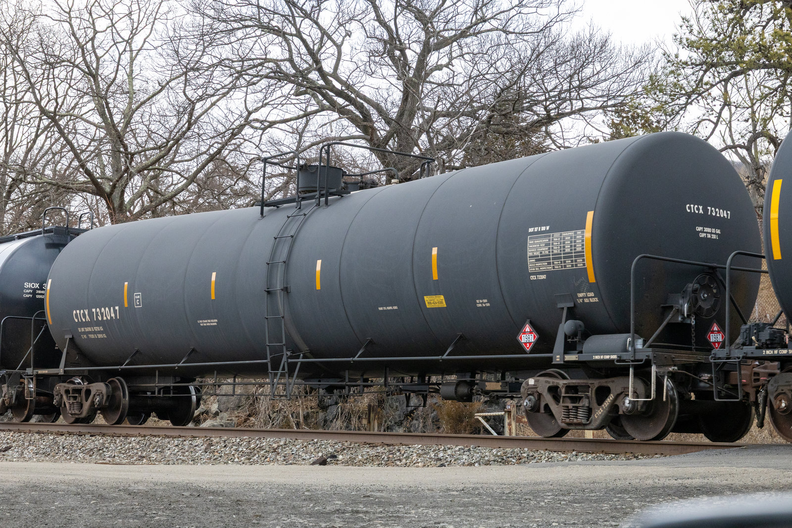 CTCX 732047